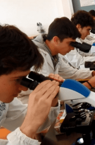 studenti al microscopio